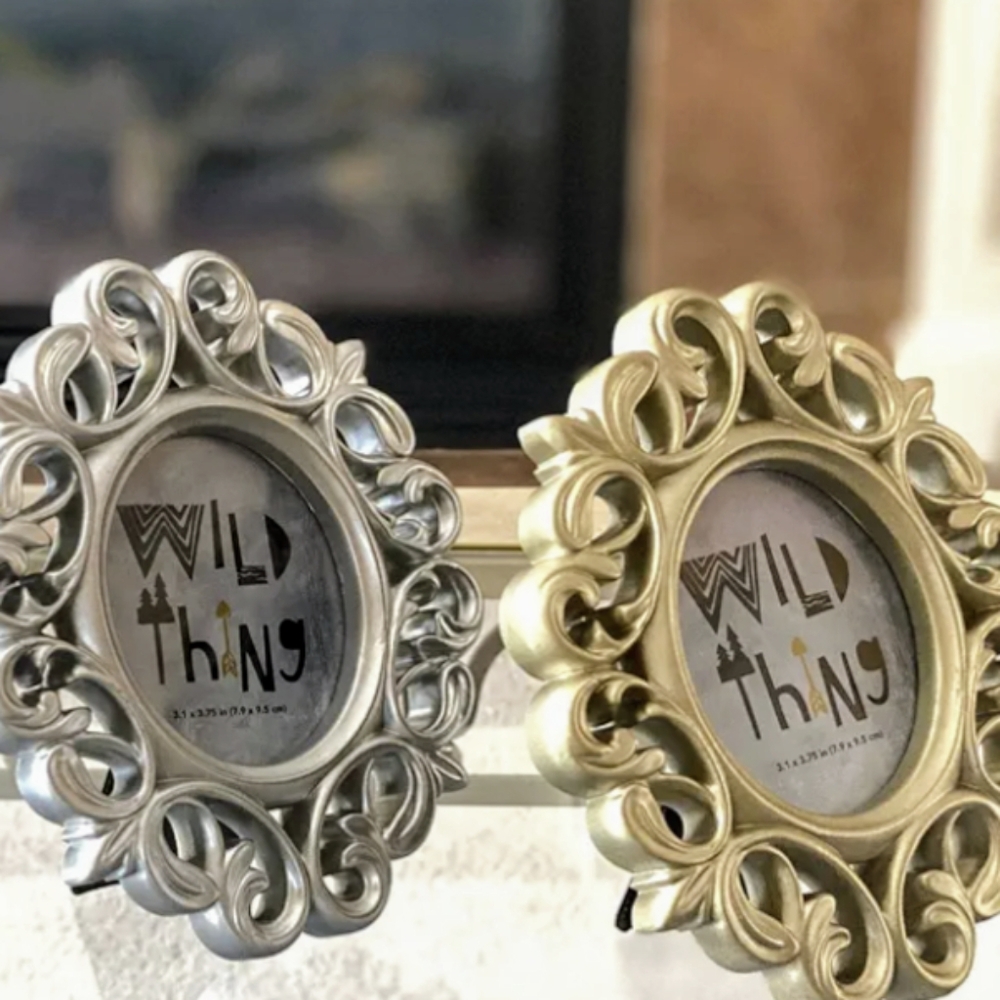 NWT Wild Thing Vintage Style Picture Frames